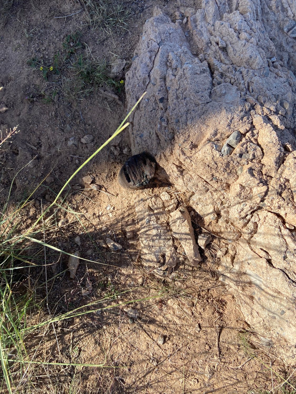 Ground-level fragment identified as tower remnant